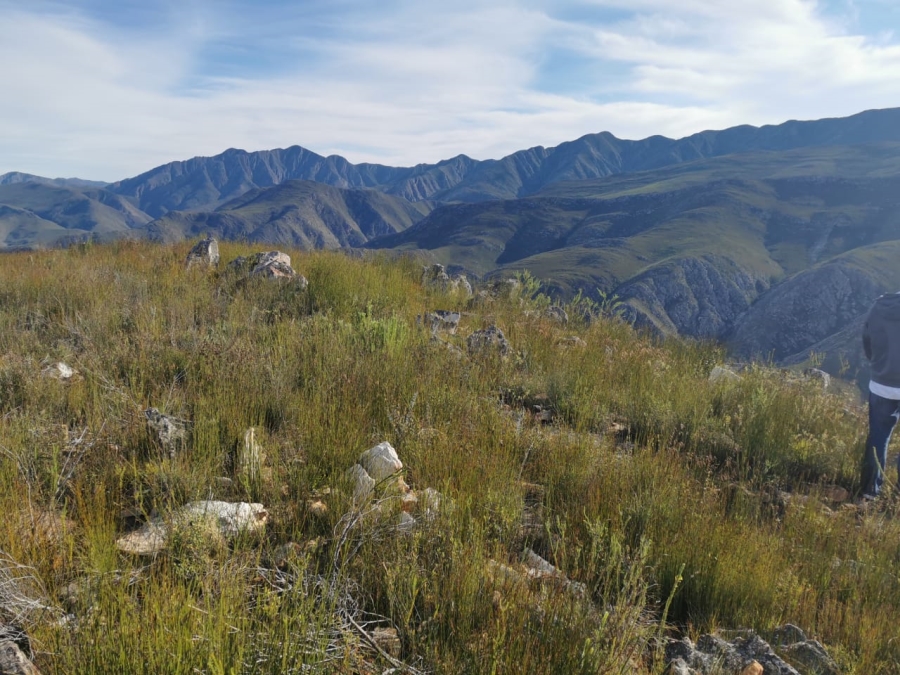 3 Bedroom Property for Sale in Joubertina Eastern Cape